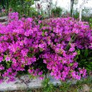 구암농장 이미지