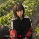 창화농장 이미지