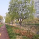 안산천1 이미지