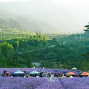 무릉세탁 이미지