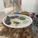 엠코소아청소년과의원 이미지