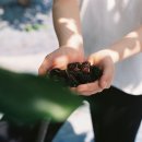 유유농산