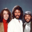 Bee Gees / 비지스의 이야기 이미지