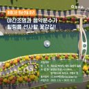 화순천L 이미지