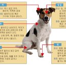 한가람동물의료센터 이미지