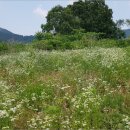 산직보건진료소 이미지