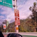 GR(무주군)-[한풍루로]-상-27 | 제27회 무주반딧불이축제 정보 및 후기 | 주차정보 | 신비탐사