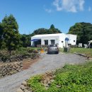 옥희농장 이미지