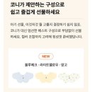 바디울천 | 🤍아기용품🤍빕! 턱받이! 사용 리뷰 - 코니 테리빕 롤링빕 파이핑빕 (feat.코니바디슈트)