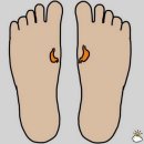 셀프 발마사지로 건강 챙기기 이미지