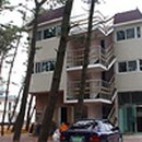 몽산포파인 이미지