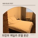 케일라호텔 본관 | 의정부 호텔 추천 케일라 호텔 본관 스탠다드룸 이용후기 깔끔한 감성 숙소