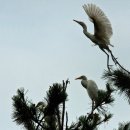 활천중학교 이미지