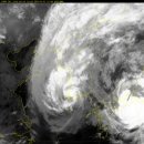 태풍합기도 이미지