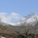 흰구름 맑은달 이미지