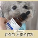 엠제닉스힙앤조인트서포트 액상으로 흡수 빠른 강아지관절영양제