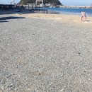 학암포주유소 이미지