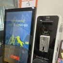 도그마캣용인
