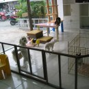 허동물병원 이미지