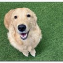 아이조아요양보호소 안양점 이미지