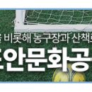 도안문화공원 풋살장 네이버블로그