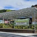 현리 광장 이미지