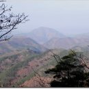 구암지맥 1구간 옻밭골-분기봉-구암산-거두산 임도-삼자현-노래재 이미지