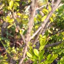 거연경로당 이미지