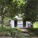 성흥사 - 1889 | 6/7 진해 성흥사 계곡 방문 후기