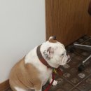 자양동물병원 이미지