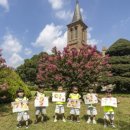 123복지용구센터 네이버블로그