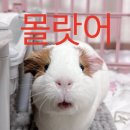 우당탕탕 호치민 여행 🇻🇳 (4) - 메콩캉투어, 그리고 쇼핑 🛍