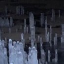 다정한파도 이미지