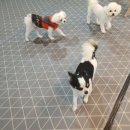 킹스유치원 이미지