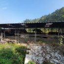 용성축사 이미지