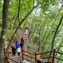 출렁다리주차장 이미지