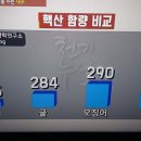 당뇨치유사례,새우 이미지