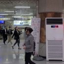 팬플룻 Daum카페
