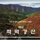 시창작강의 - (313) 남의 시에서 얻은 종자 - ① 백석에게 얻은 〈적막강산〉/ 시인 이형기 이미지