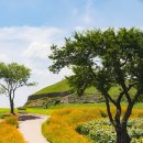 연천호로고루 이미지