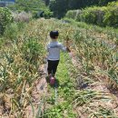 서광태권도장 이미지