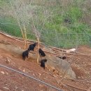 비안농장 이미지