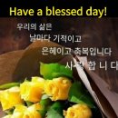 꽃향기 - 군산시 동지곡길 15 | 꽃향기