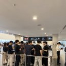 디오앤비 | DAMIEN HIRST 데이미언 허스트 전시회 후기