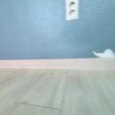 천매봉길 이미지