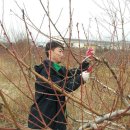 효경농장 이미지