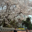 벚꽃 아래에서 완성한 고프코어 한 스푼, 리메인세컨드 카고 팬츠 후기