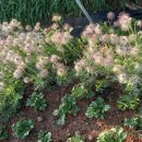 은혜농장 이미지