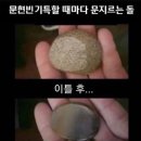 마마모텔 | 2025.05