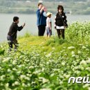 서상보건진료소 이미지